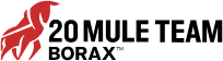 Borax Europe Limited