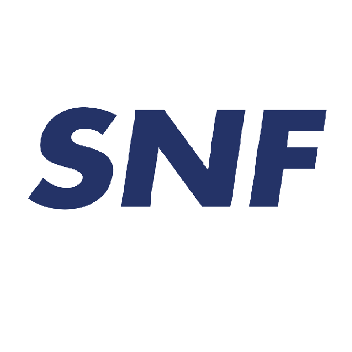 Snf Intl Group